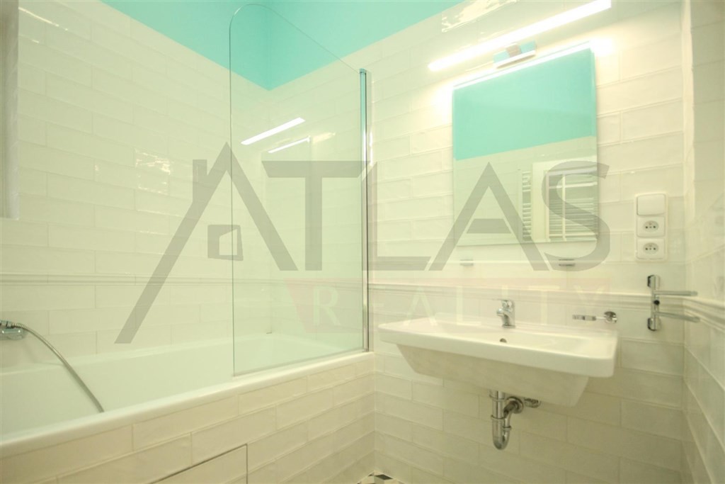 For rent one bedroom apartment Prague 2 - Nové Město, Náplavní street