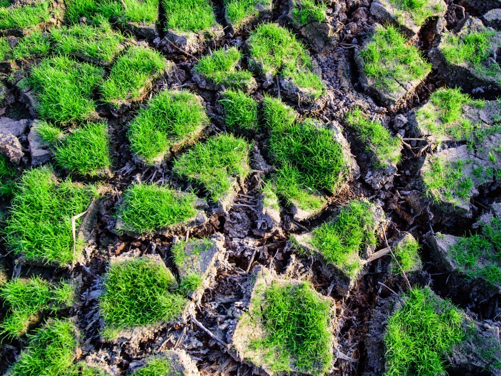 Odpad a změna klimatu