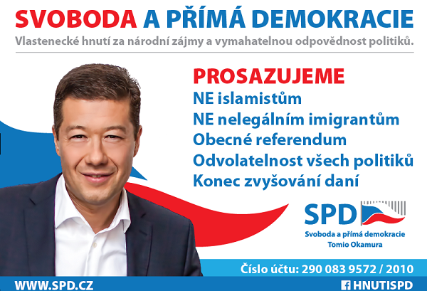 Přímá demokracie a její instituce v České republice