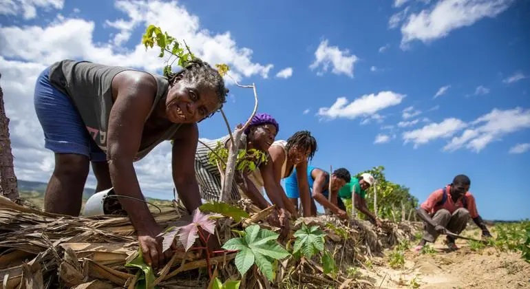 Ženy v Rio Negro připravují půdu pro výsadbu.