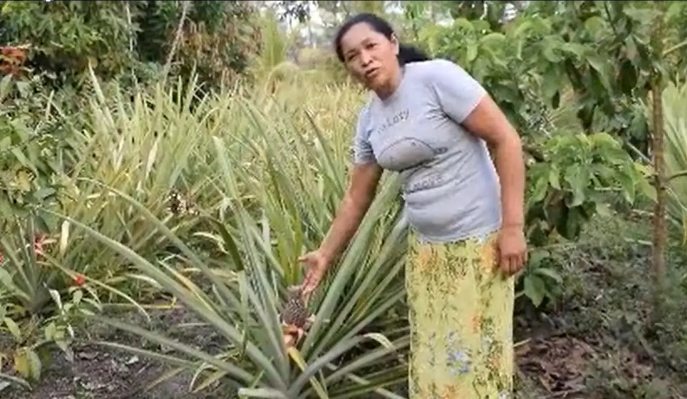 Farmářka roku Esmeralda Stanleyová z Trio Village v Toledu založila vlastní farmu od nuly; je zastáncem ekologického zemědělství