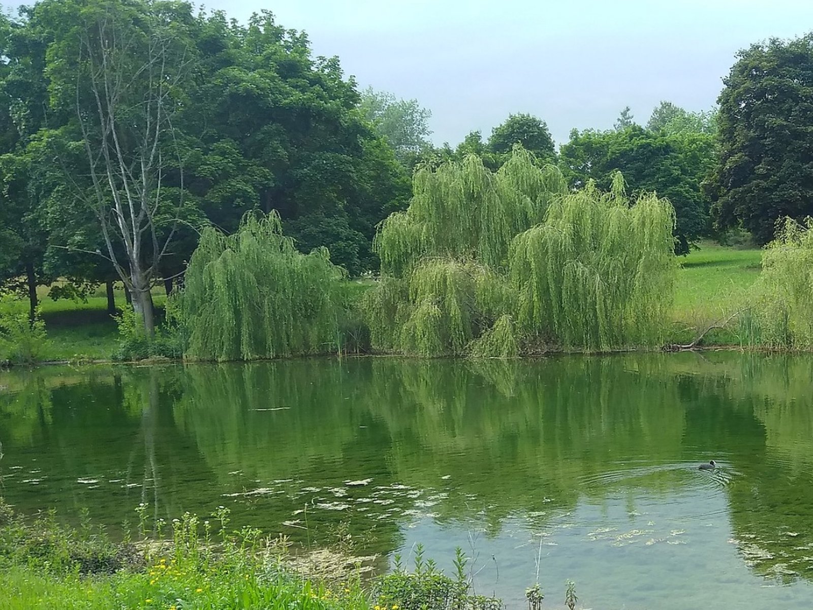 Turínský park Pellerina, kde se 7. května uskuteční akce 5 a 10K, pořádané nadací The Way to Happiness Foundation a Pro.Civi.Co.S, dobrovolníky civilní ochrany Scientologické komunity