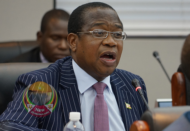Zimbawský Ministr financi Mthuli Ncube